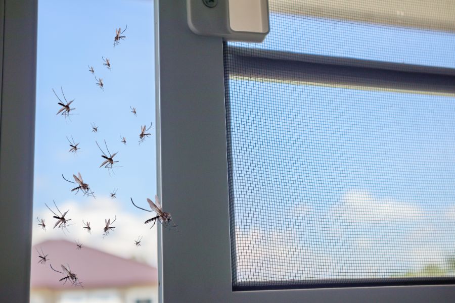 Raamhor houdt muggen buiten